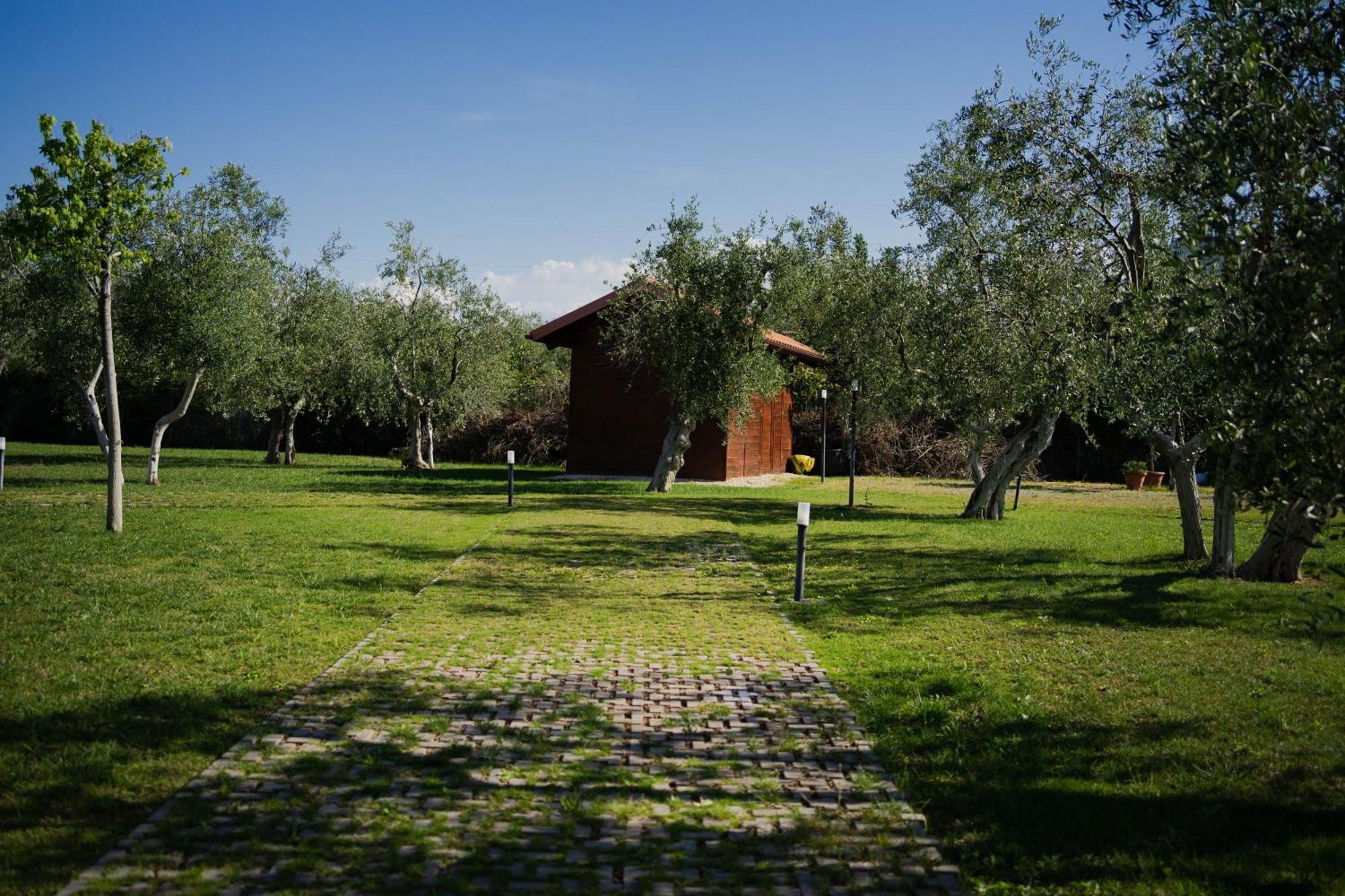 Villa Erada Bari Exterior photo